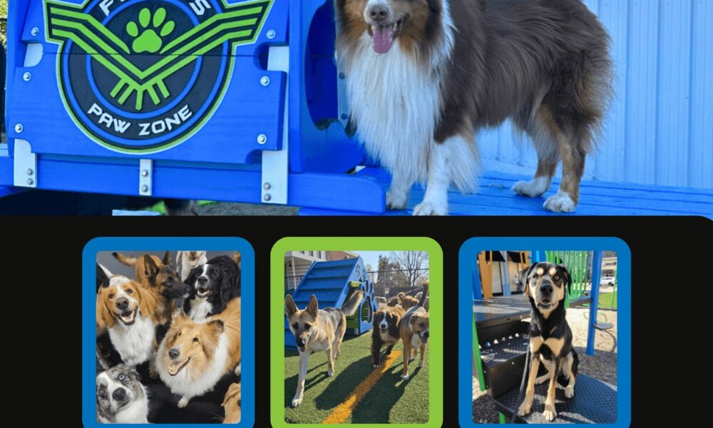 Exploring Life & Business with Sarah Maleski of Flyer's Paw Zone