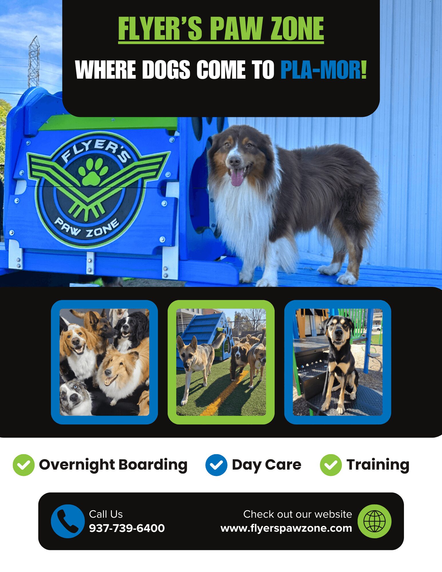 DOGOページ Exploring Life & Business with Sarah Maleski of Flyer's Paw Zone