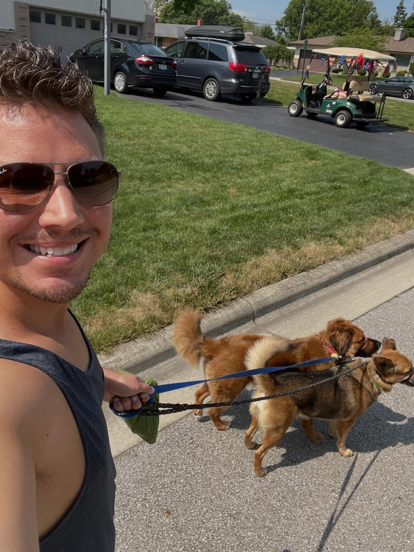 Man smiling with sunglasses walking two dogs on leashes on sidewalk, grassy area and parked cars in background.