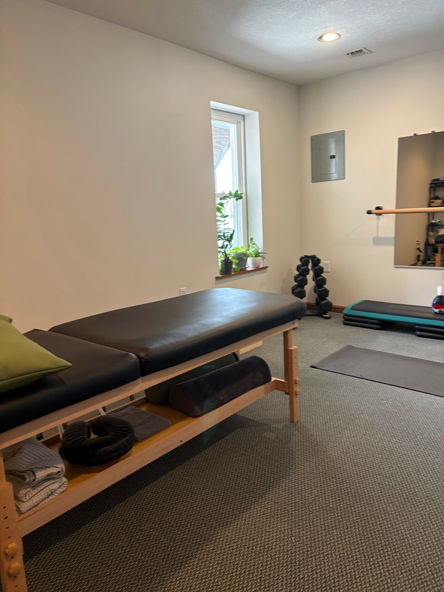 Room with a massage table, window with plants, exercise equipment, and a mirror on the wall.