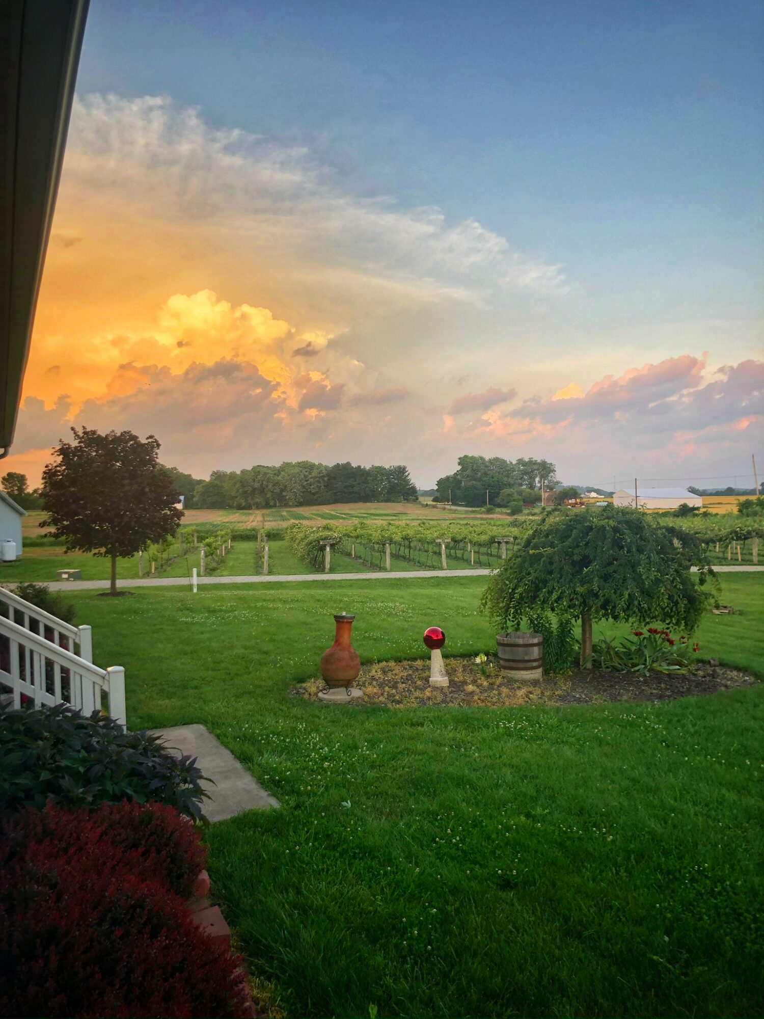 Scenic view of a green lawn, trees, and a sky with clouds during sunset or sunrise.