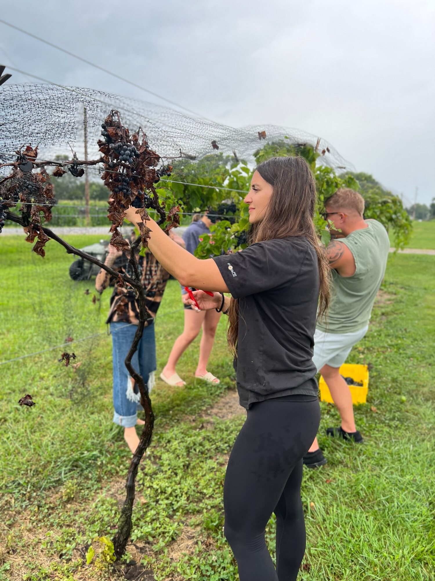 People outdoors watering plants or trees in a grassy area under cloudy sky.