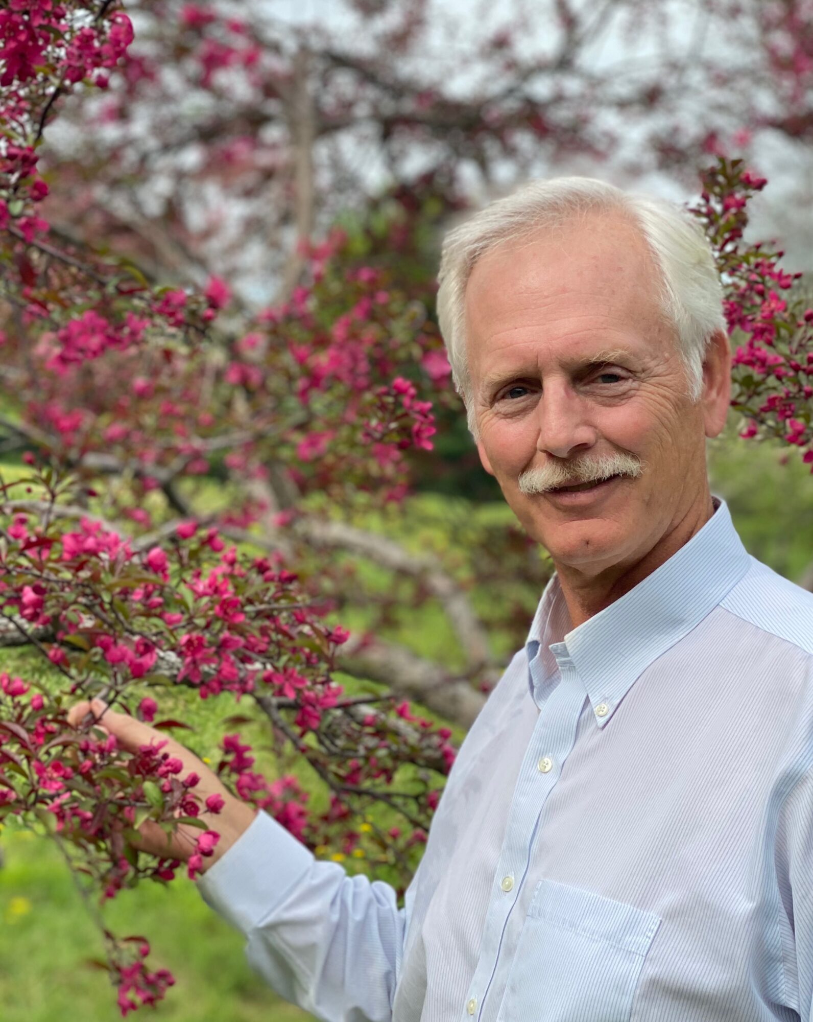 Community Highlights: Meet Paul Abbey of Rooted in Trees