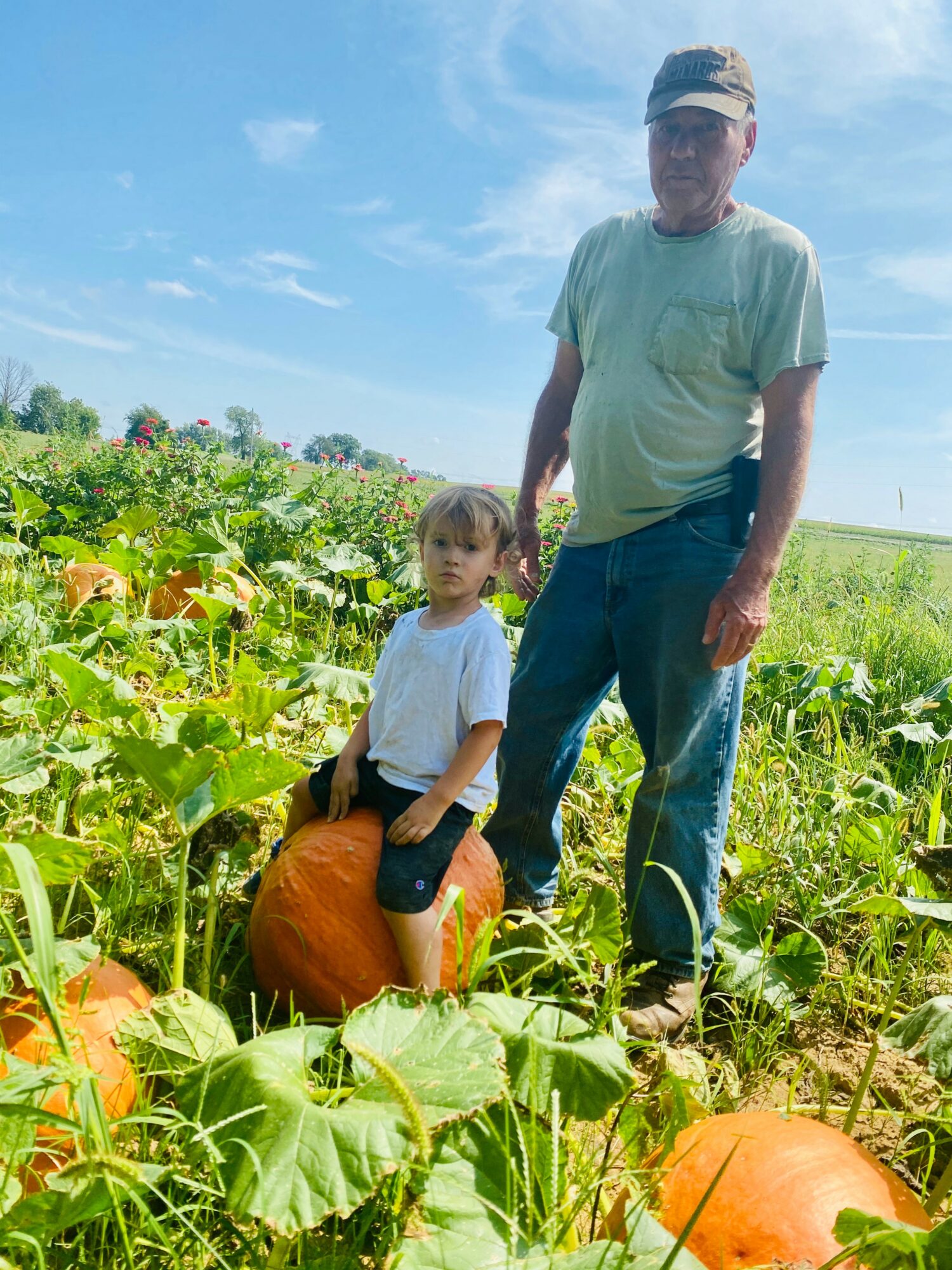 A man and a young girl in a pumpkin patch with pumpkins and green plants, under a blue sky with clouds.