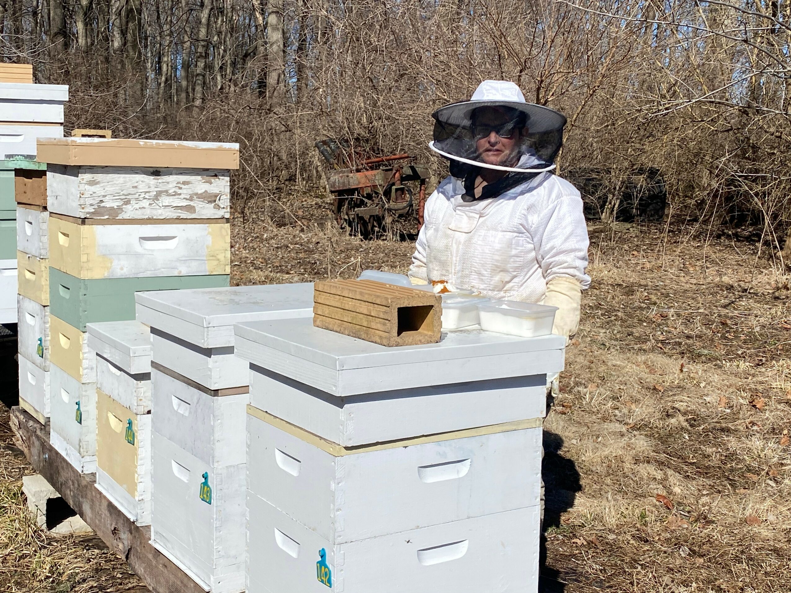 Person wearing a beekeeping suit and veil standing behind stacked beehives outdoors, with trees and dry grass in background.