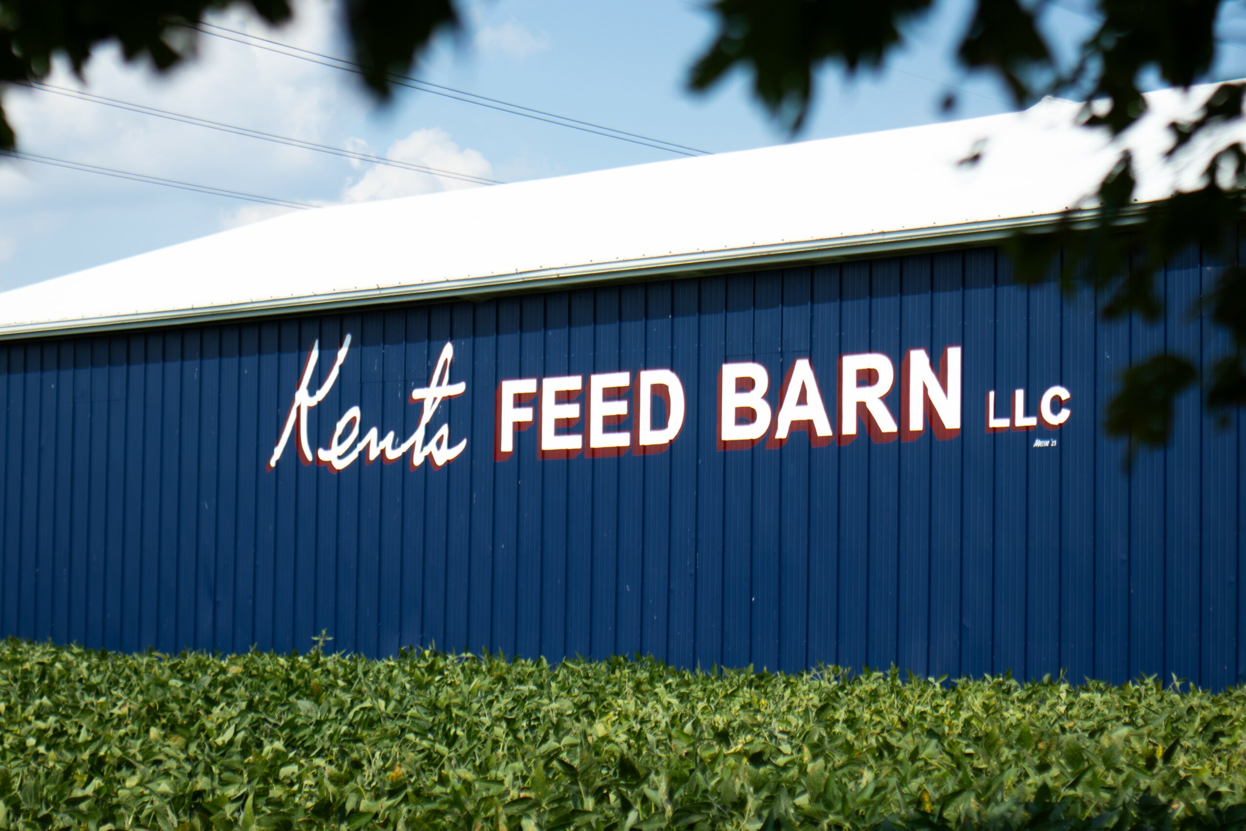Blue building with white roof and sign reading 'Kents FEED BARN LLC' in white and red letters, surrounded by greenery.