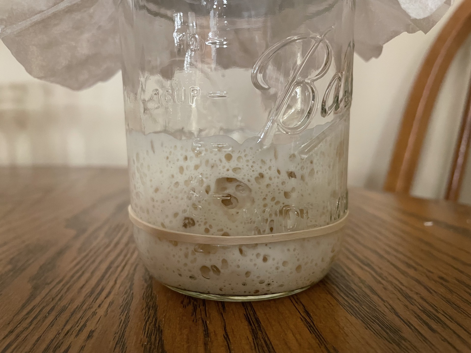 A glass jar with a paper towel on top, containing a foamy, bubbly liquid, placed on a wooden table.