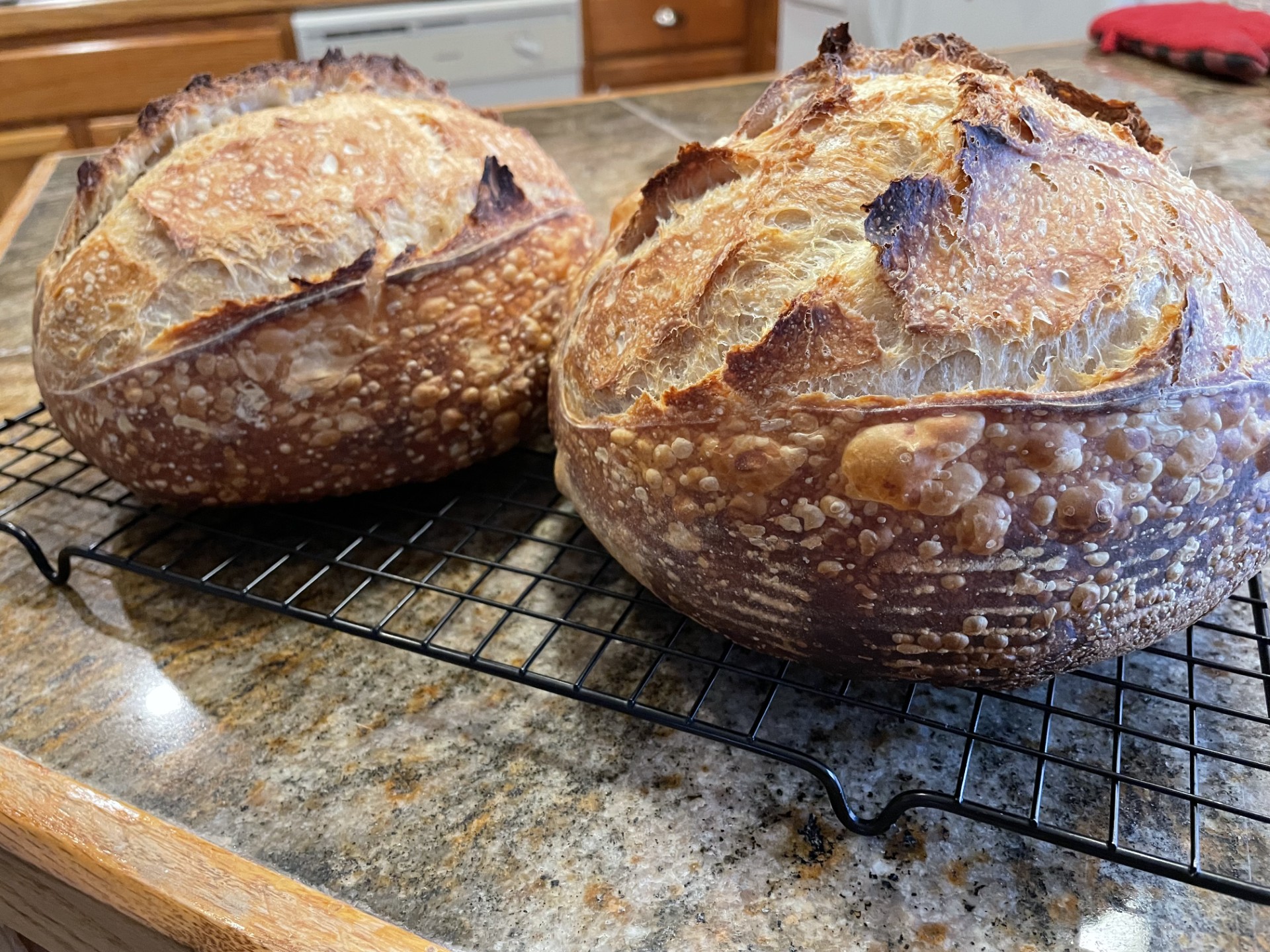 Two large, round loaves of bread with crusty, golden-brown surfaces on a cooling rack, on a kitchen countertop.