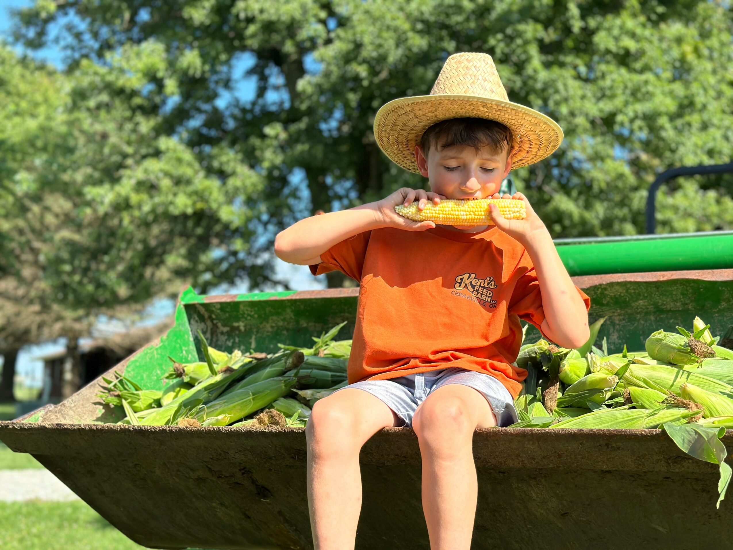 Child wearing a straw hat and orange shirt sitting on a boat filled with green plants, eating a corn cob outdoors.