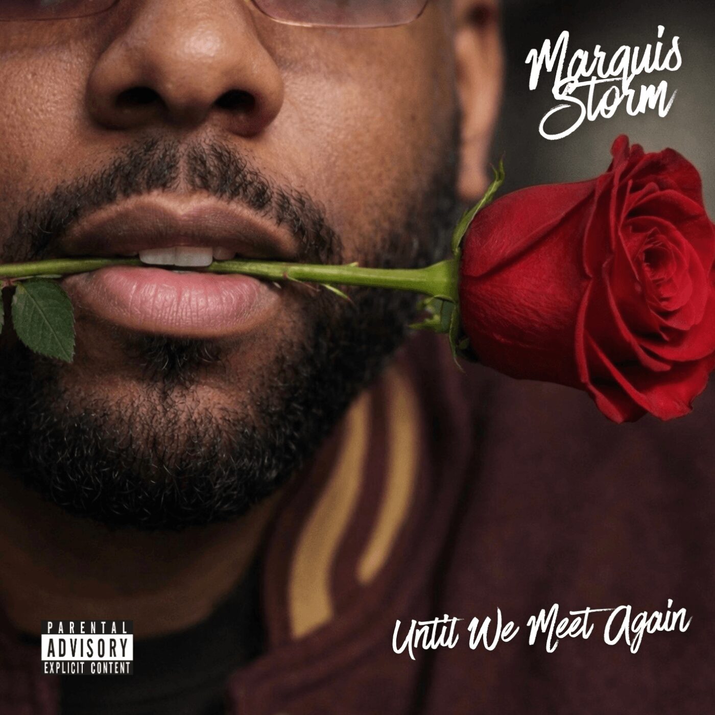 Close-up of a person holding a red rose in their mouth, with text 'Marquis Storm' and 'Until We Meet Again'.