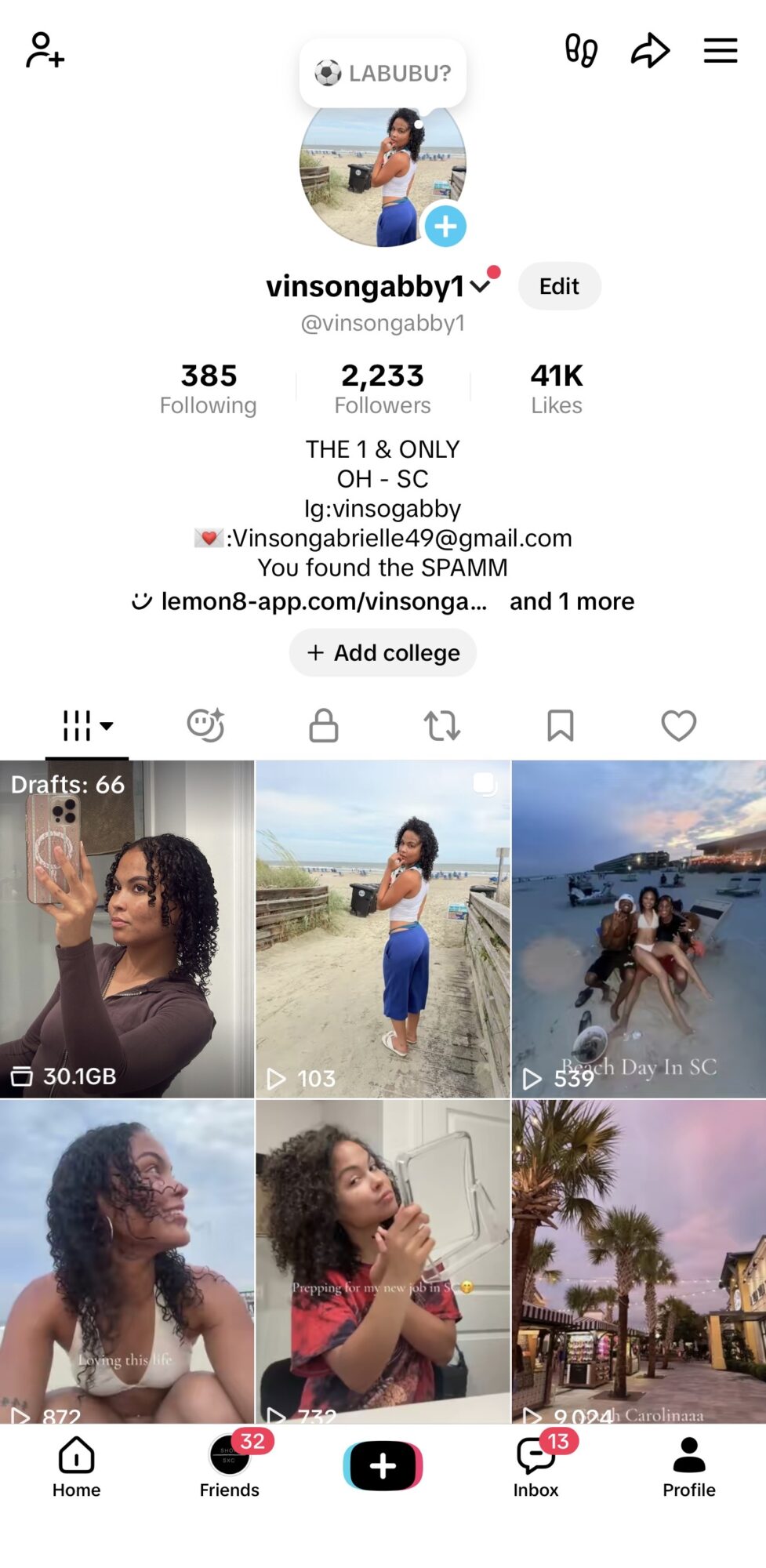 Instagram profile page showing a person with a blue top, multiple photos of a woman, and a beach scene.