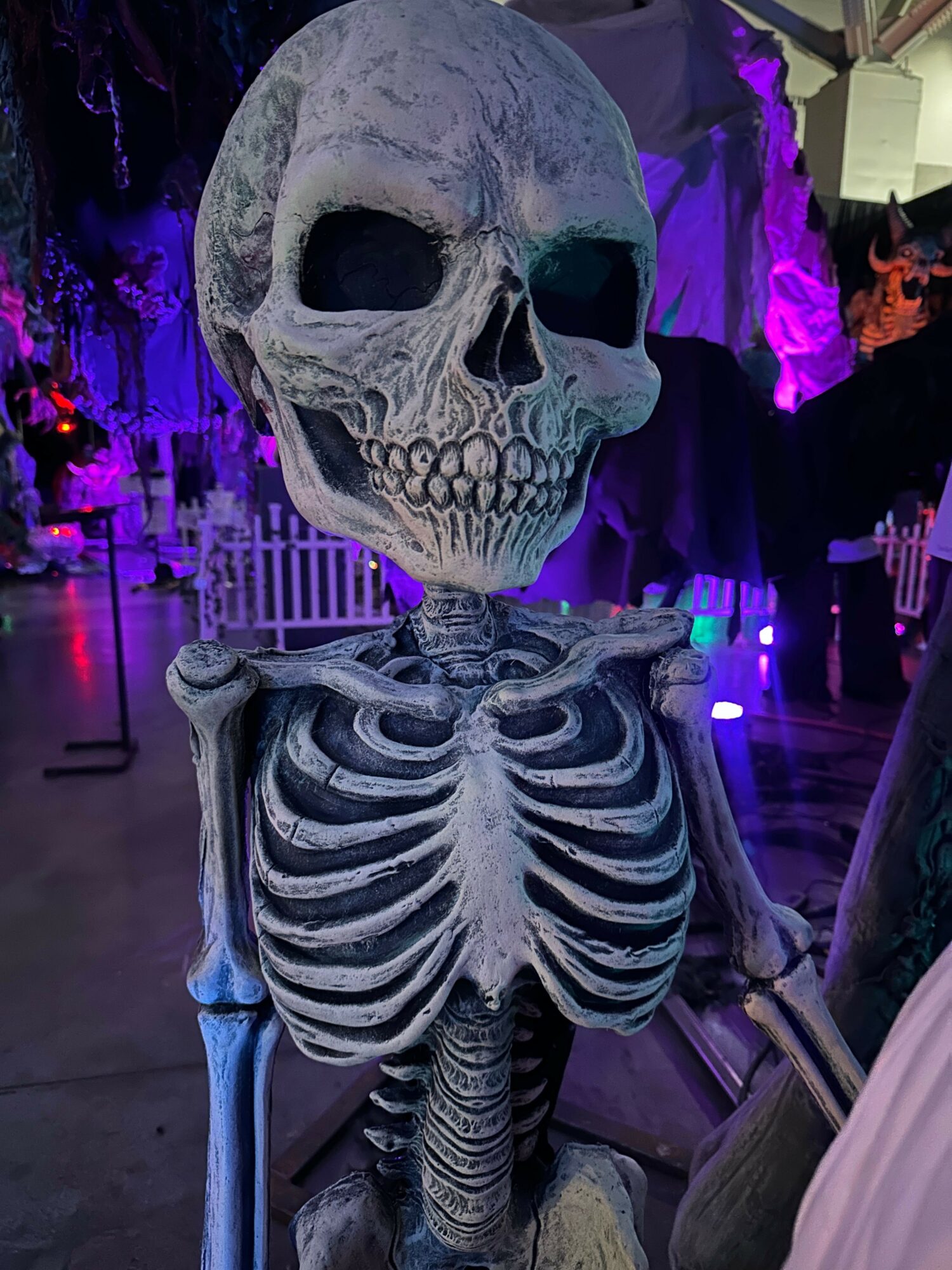 Skeleton decoration with a skull and ribcage, illuminated by purple and blue lights, in a festive setting.