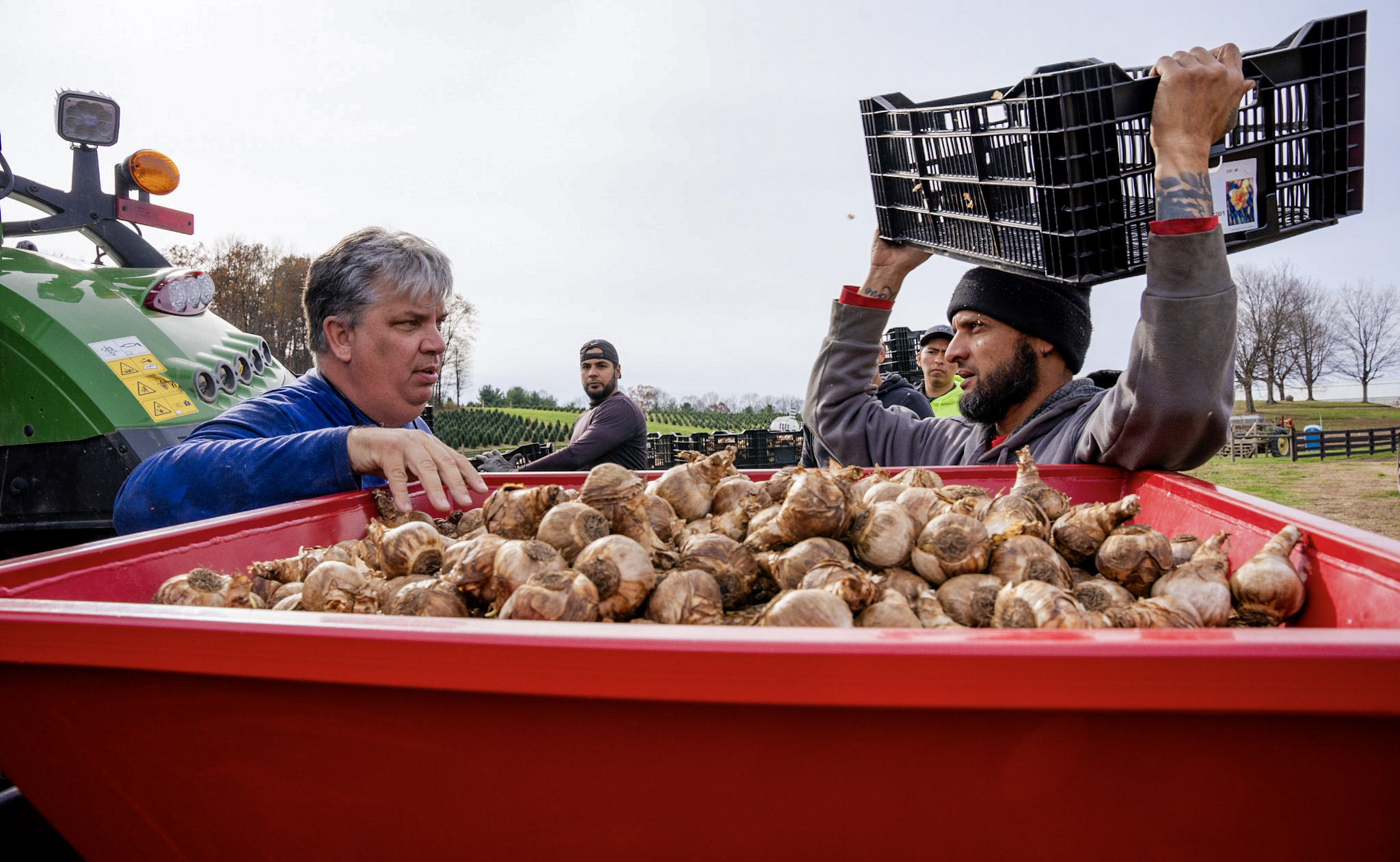 Two people work outdoors with a large red container filled with bulbs, one holding a black crate, others in the background.