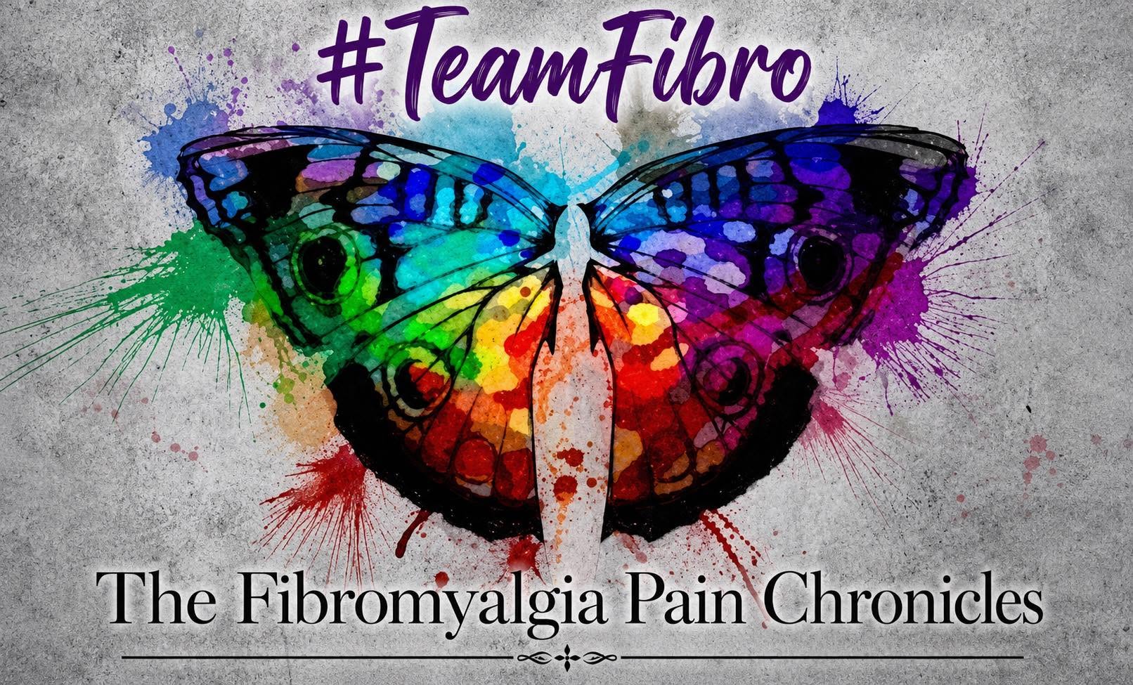 Colorful butterfly with rainbow wings and hashtag #TeamFibro above, text about fibromyalgia pain below, on gray background.