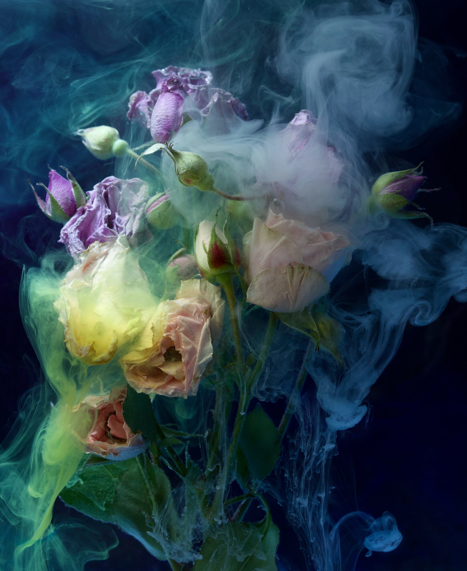 Flowers with purple, yellow, and pink petals surrounded by swirling smoke or mist, set against a dark background.