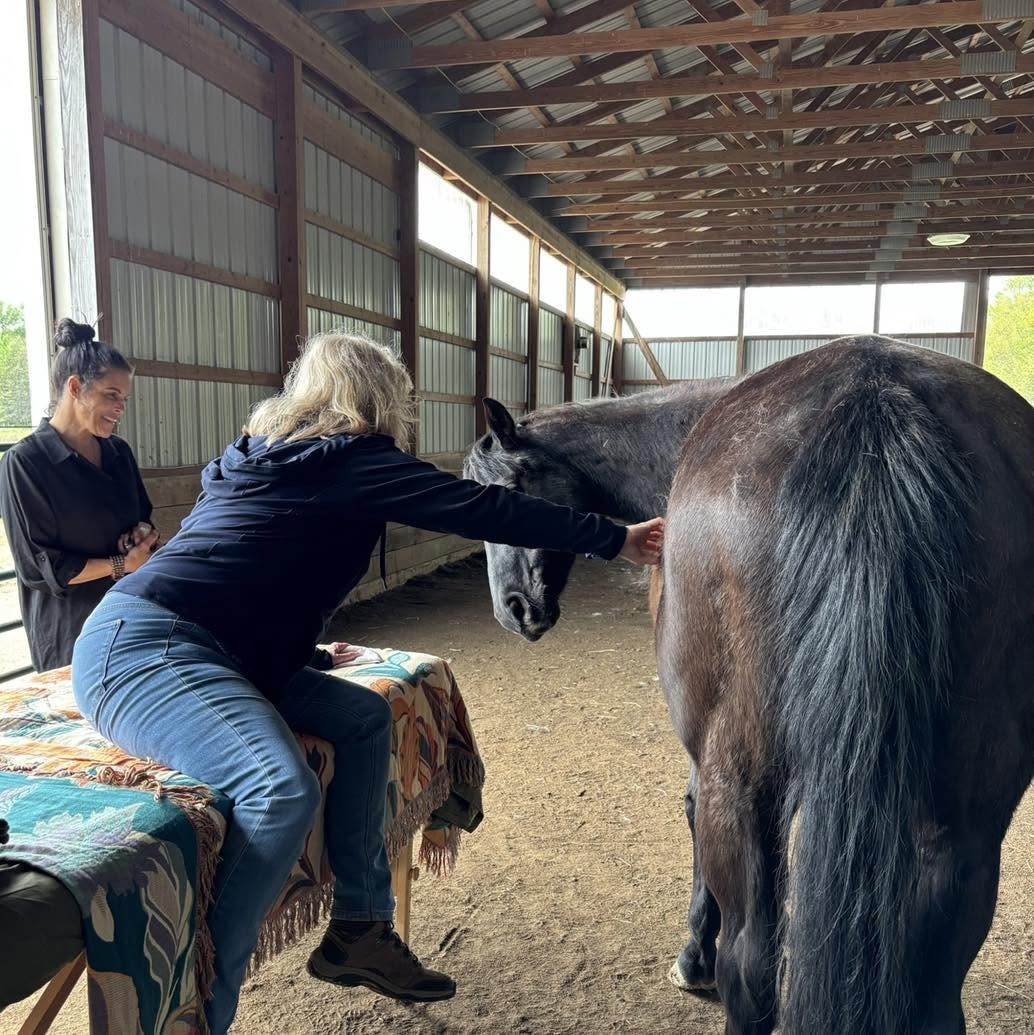 Person reaching out to a horse inside a barn with another person nearby, horse facing away, wooden walls and roof visible.
