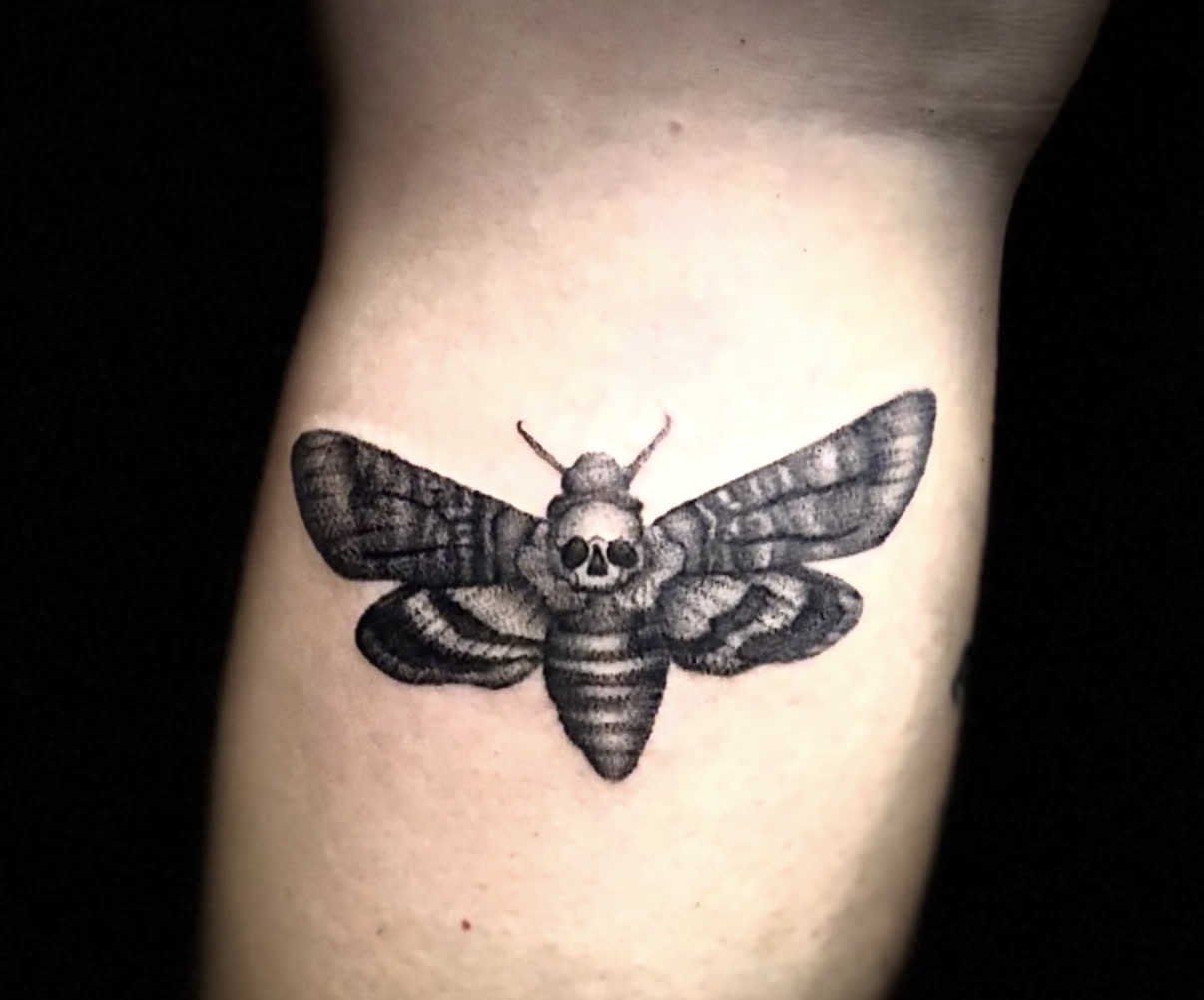 Tattoo of a moth with a skull on its body, detailed black and gray shading, on skin.