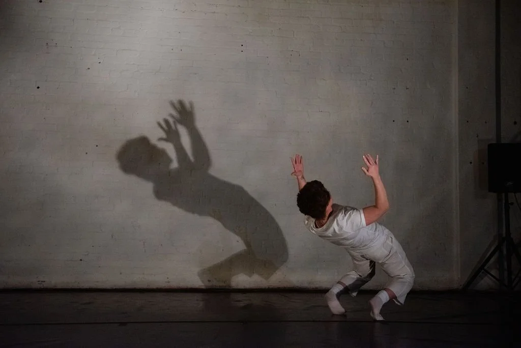 Child crouching with hands raised, shadow on wall resembling a creature with outstretched arms.