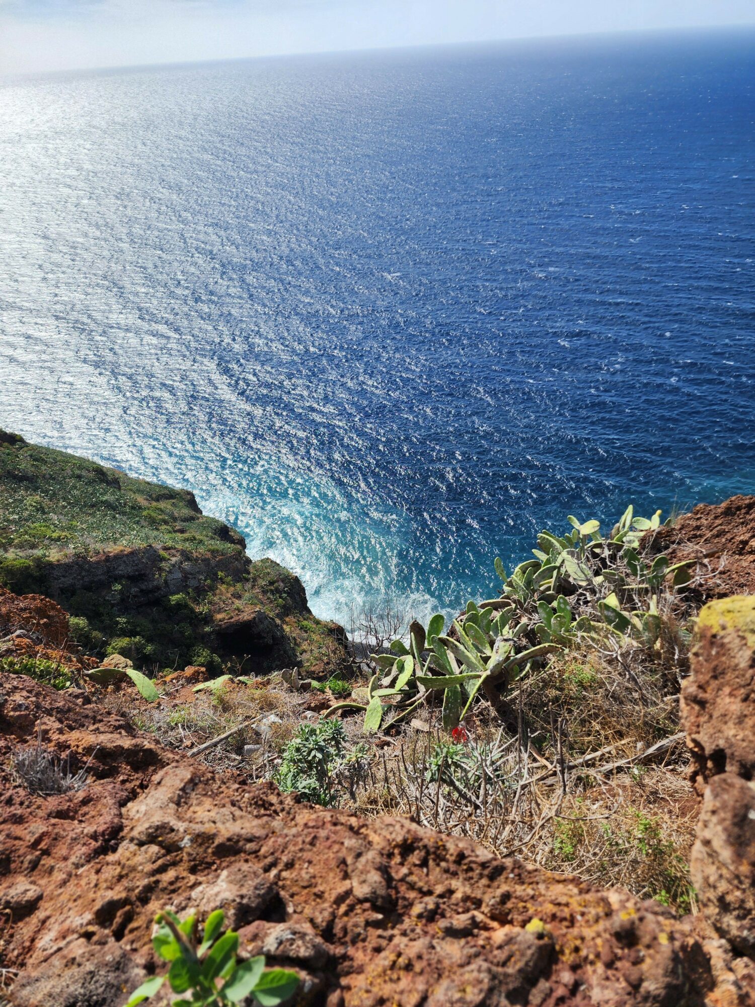 Coastal landscape with rocky terrain, green plants, and ocean waves, viewed from a hillside.