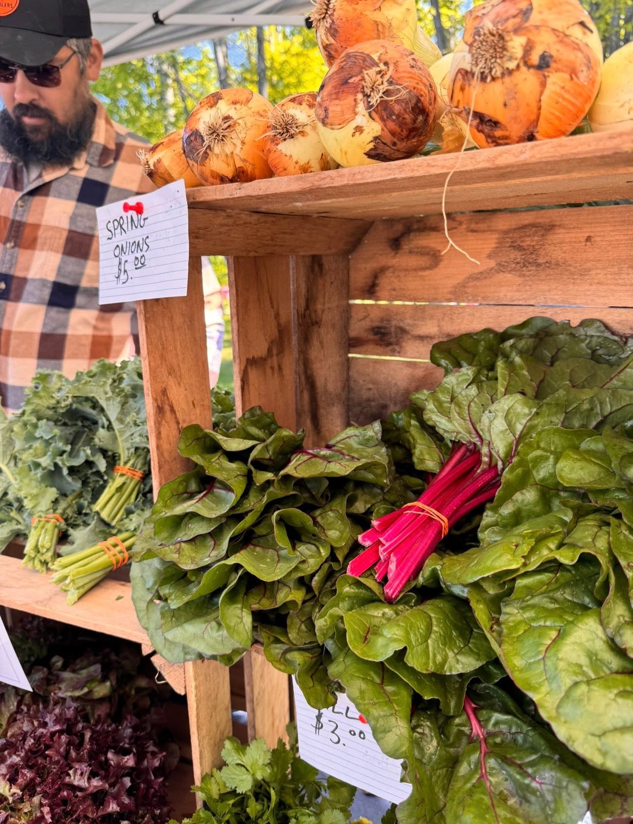 Fresh beets with green leaves on a wooden stand at a market, with a man in sunglasses and plaid shirt in the background.