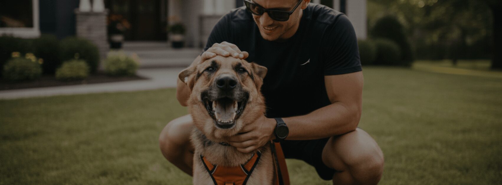 Person hugging a happy dog outdoors on a grassy lawn, person wearing sunglasses and black shirt, dog with tongue out.