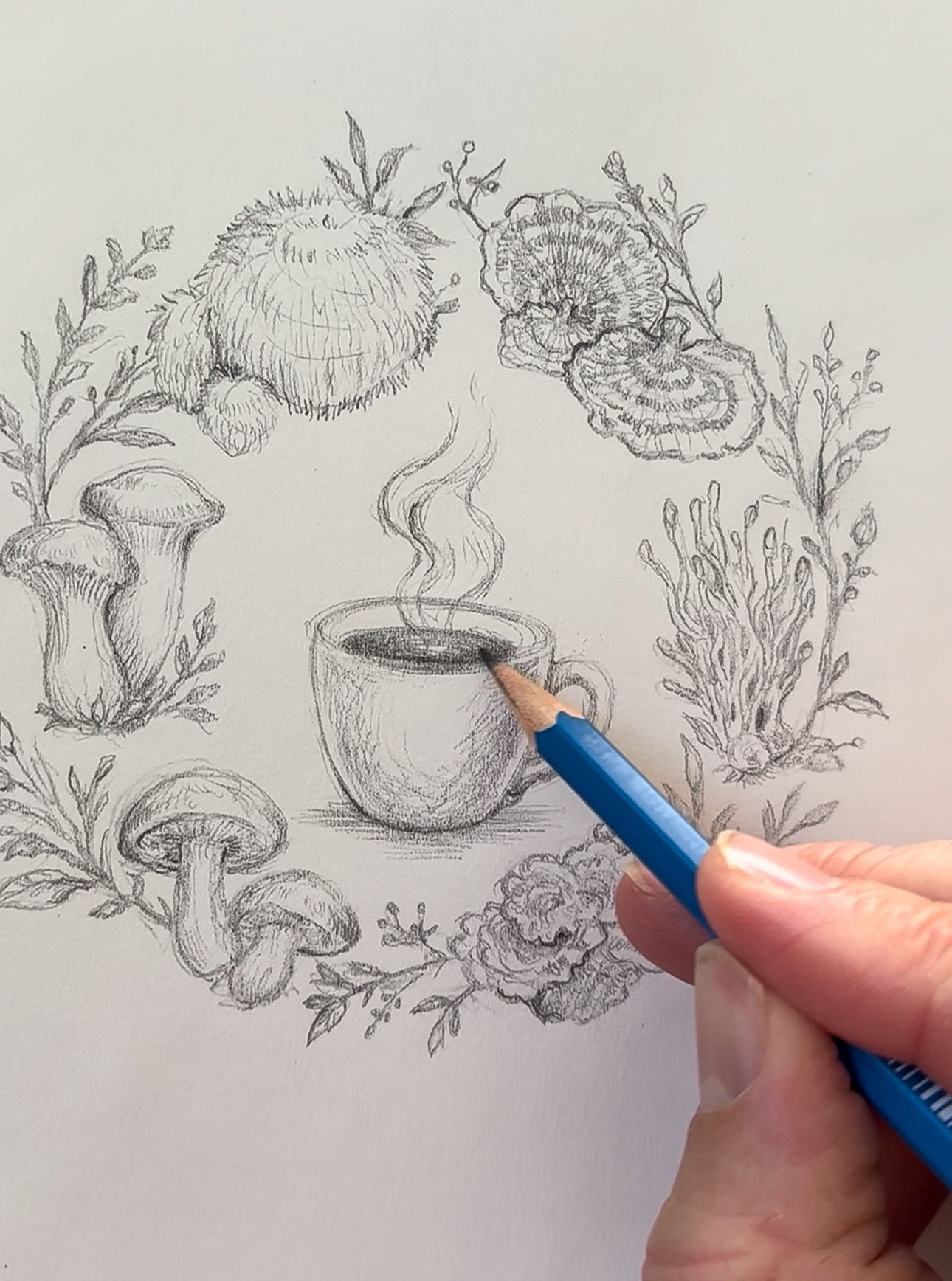 Hand holding a blue pen drawing a steaming cup surrounded by various plants and mushrooms in pencil.