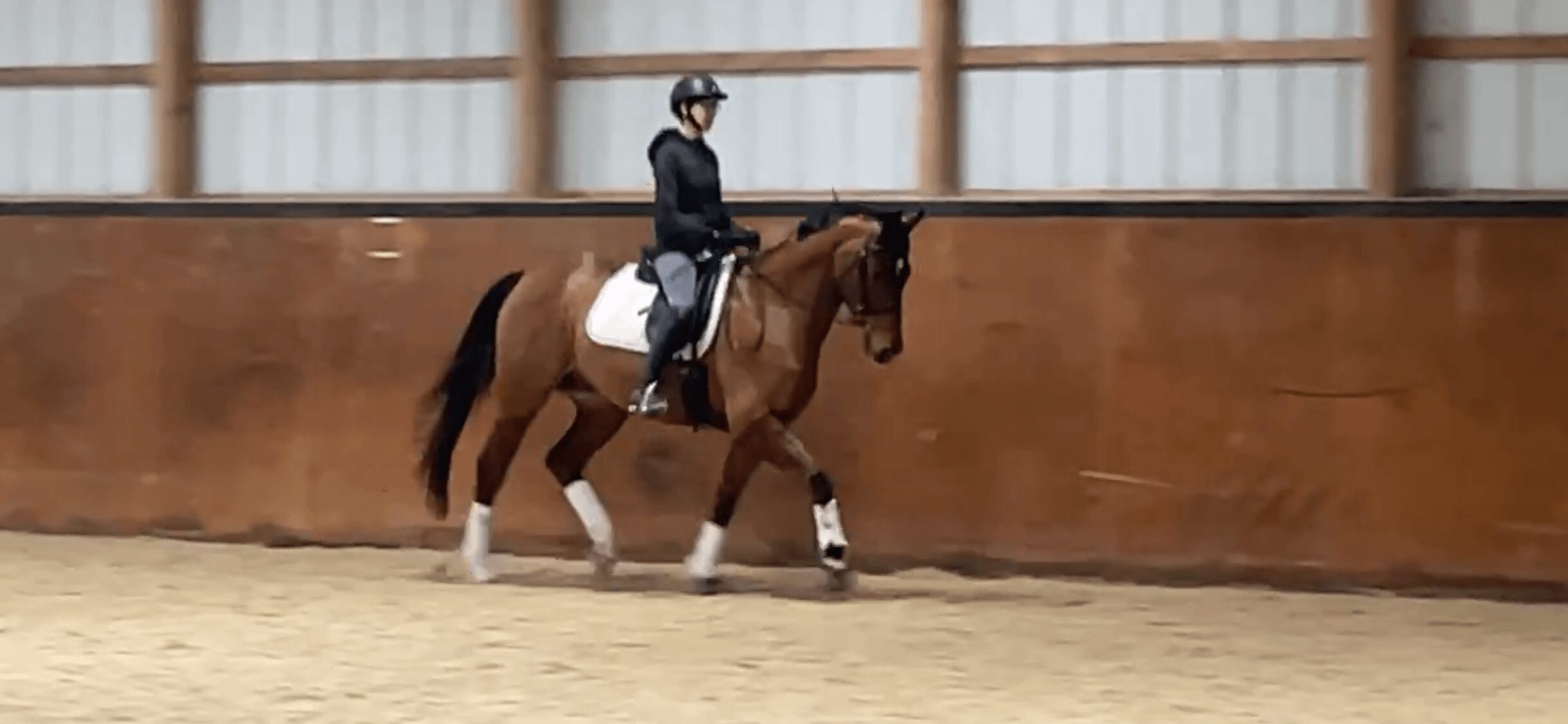 Person riding a horse in an indoor arena, with a brown wall and a wooden barrier in the background.
