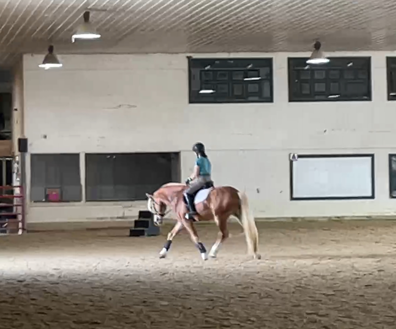 Person riding a horse inside an indoor riding arena, with a white wall and windows in the background.