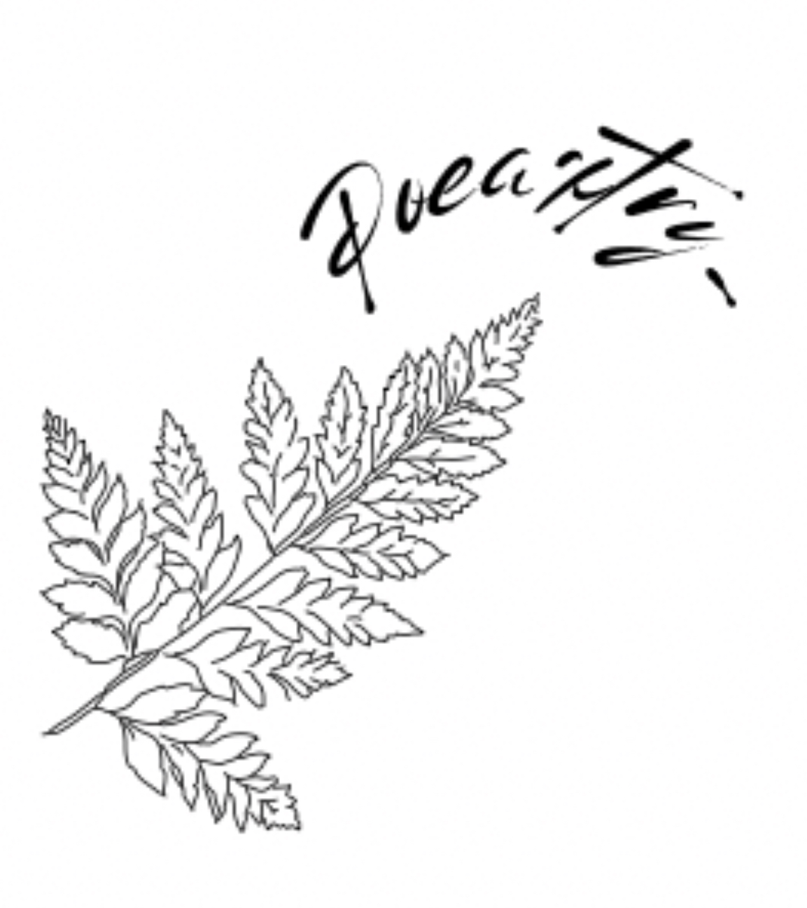 A detailed line drawing of a fern leaf with the word 'quarantine' written above it in cursive.