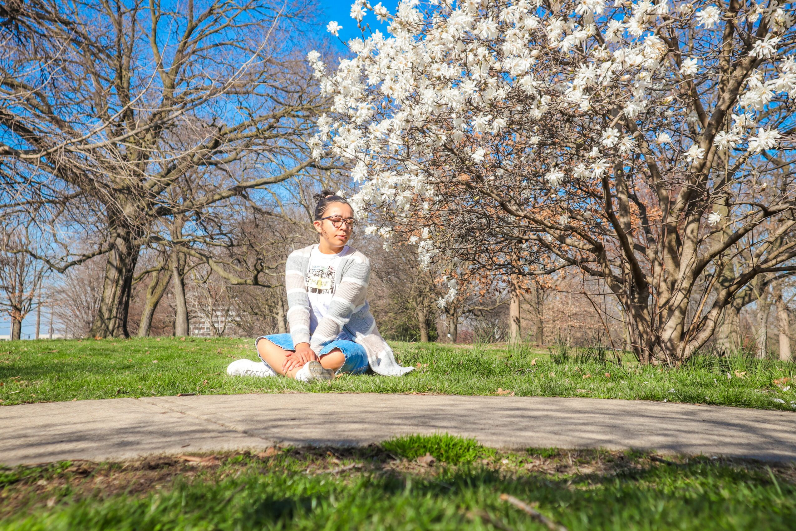 Person sitting on grass near blooming tree with white flowers, blue sky, and leafless trees in background.