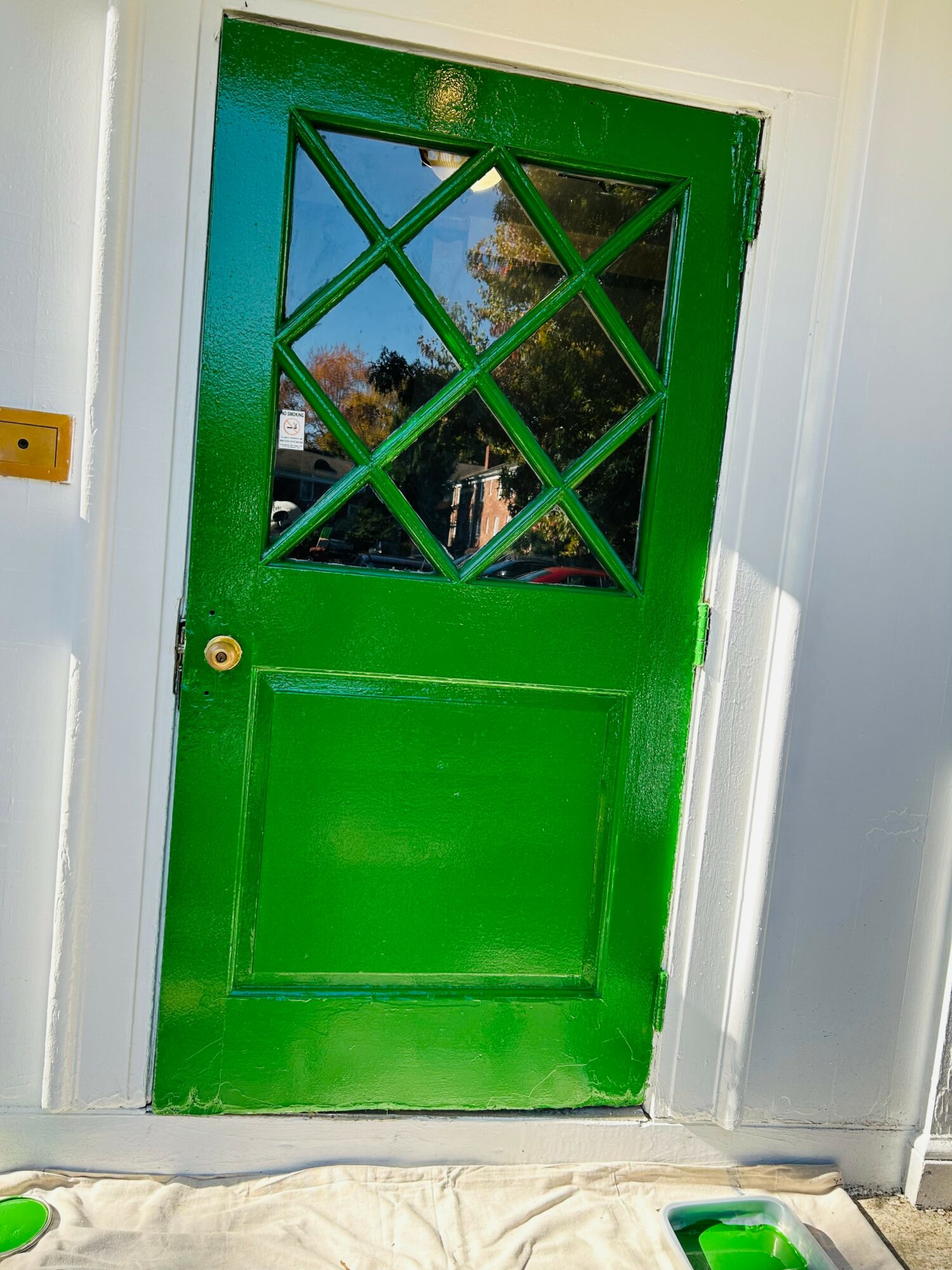 Green door with a diamond-patterned glass window, reflecting trees and sky, set in a white wall.