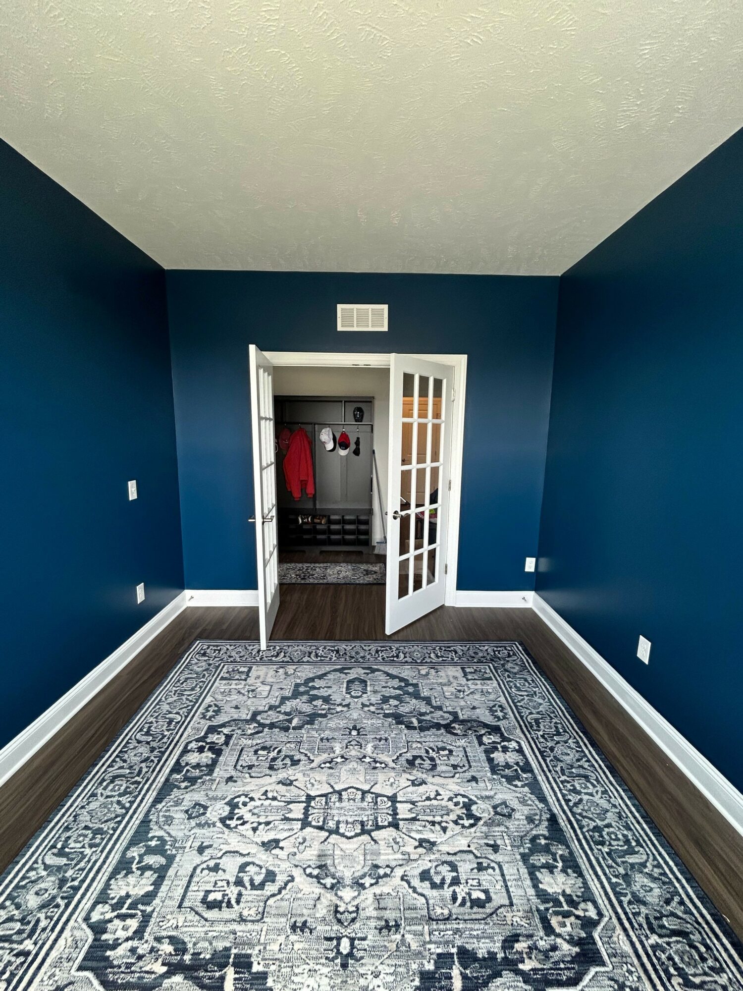 Room with blue walls, a patterned rug, and an open closet with a red item inside.