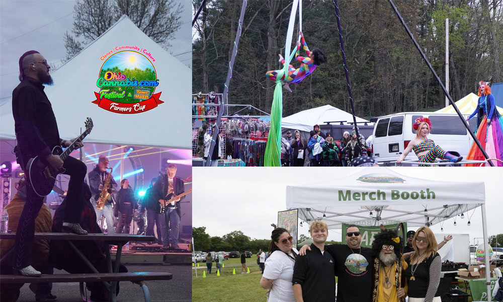 Four scenes from an outdoor festival: a logo, aerial acrobatics, a musical performance, and people at a merchandise booth.