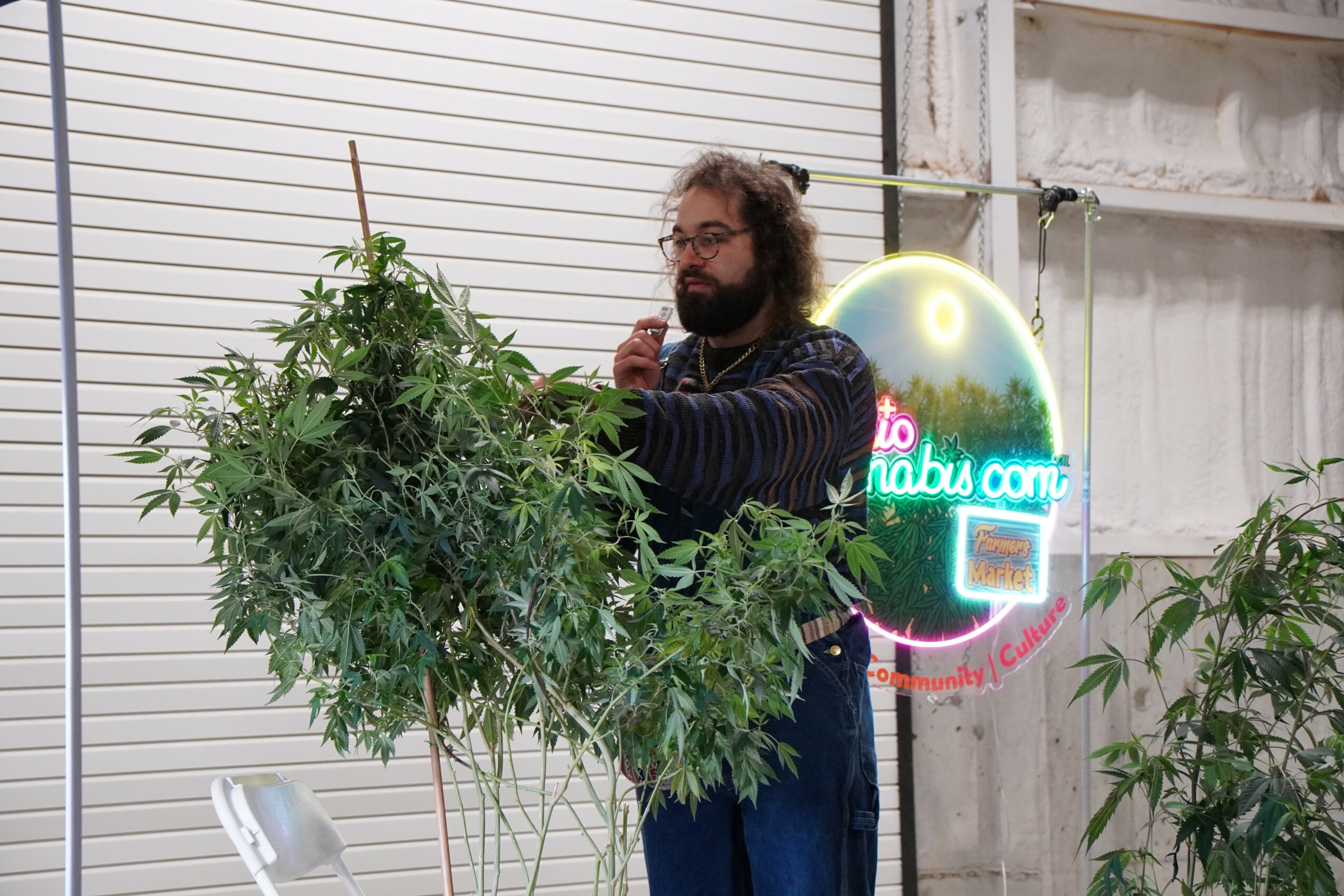 Man with glasses and beard standing behind a large leafy plant, talking on a phone, with a neon sign in the background.