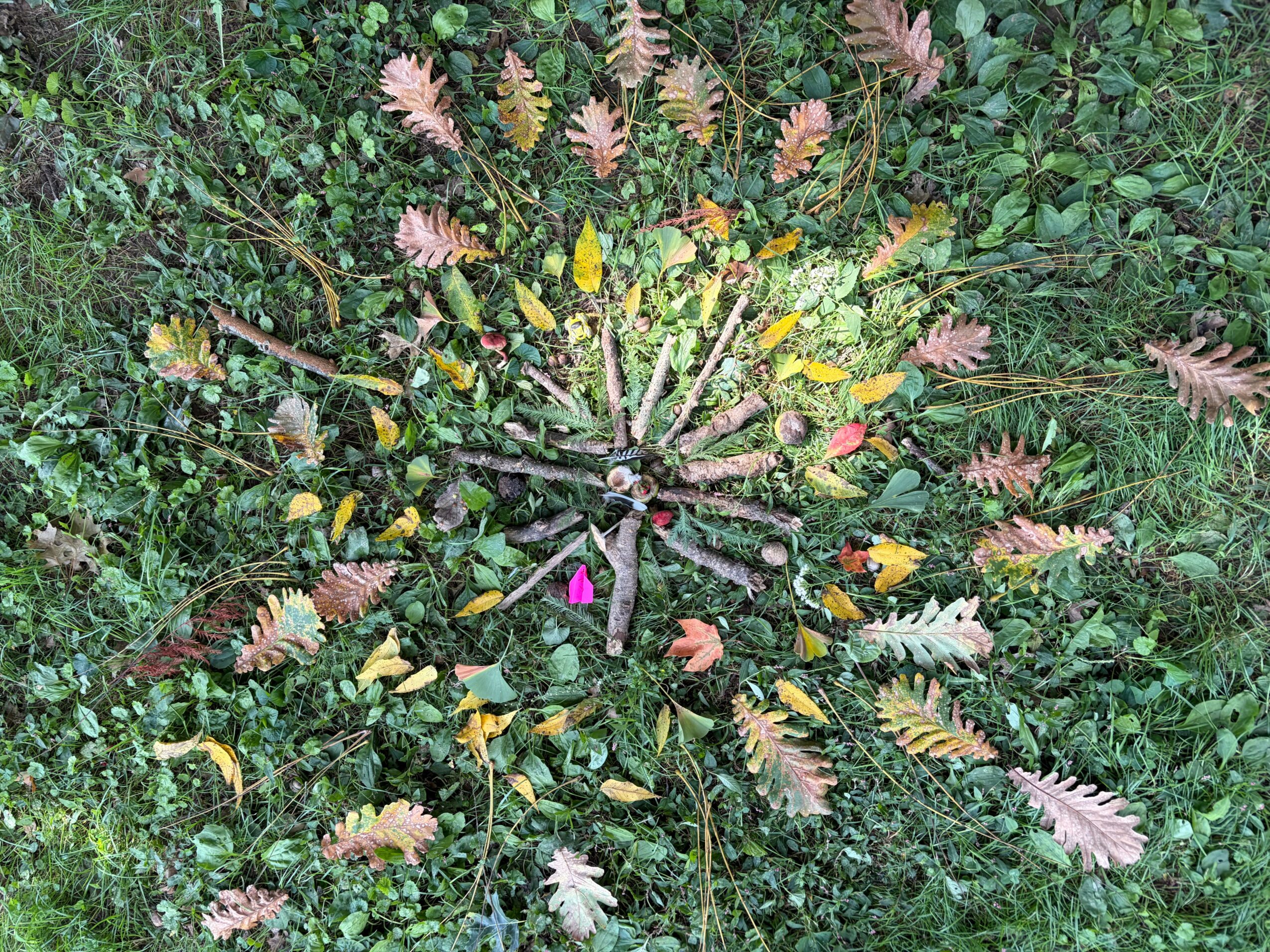 A circular arrangement of colorful leaves and twigs on green grass, with pink, yellow, and brown leaves radiating outward.