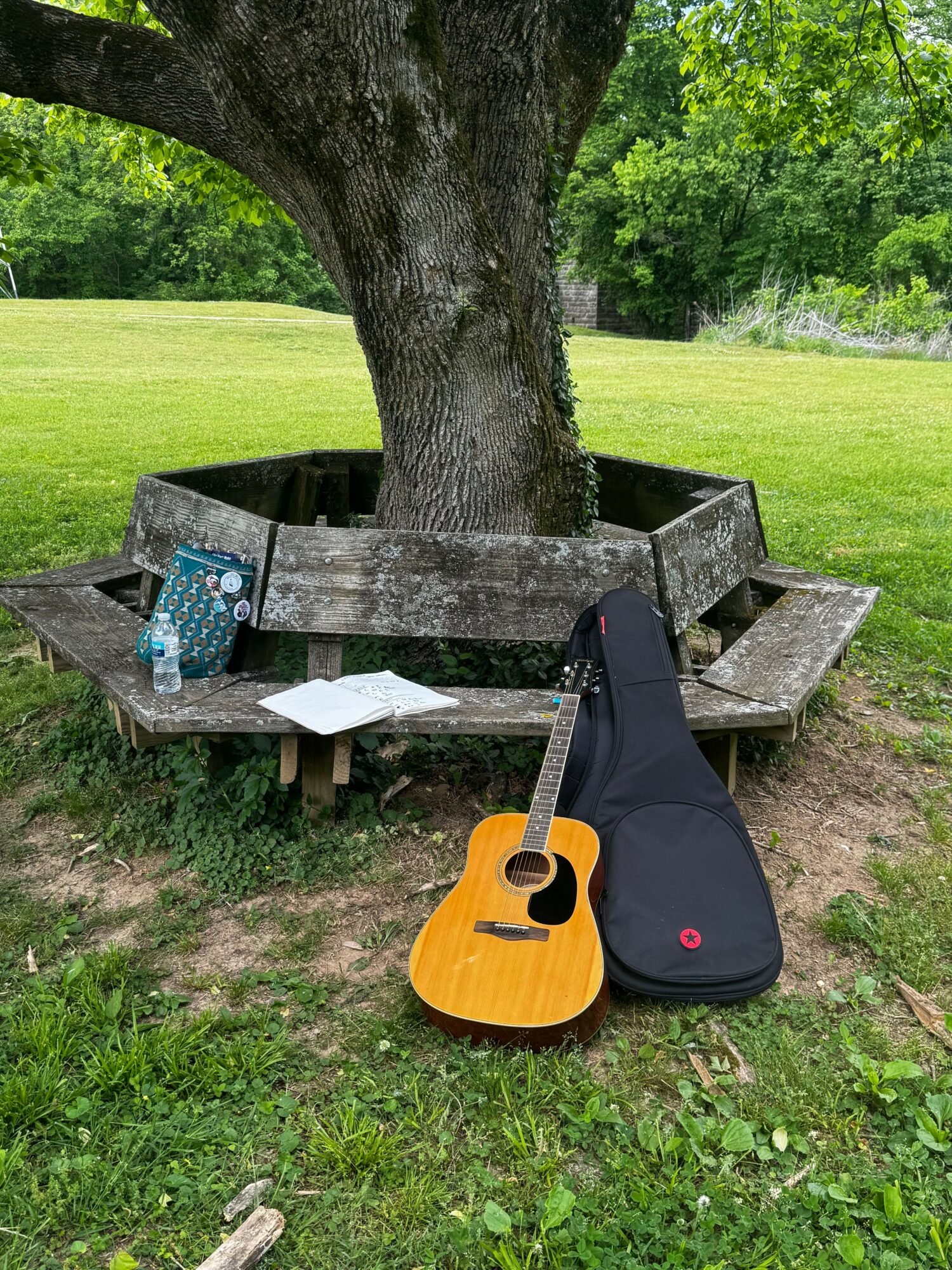 Guitar, black case, and sheet music on a park bench next to a tree, with grass and trees in the background.