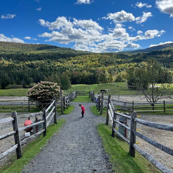 Person walking on a gravel path between wooden fences, with trees, green fields, hills, and a blue sky with clouds in the background.