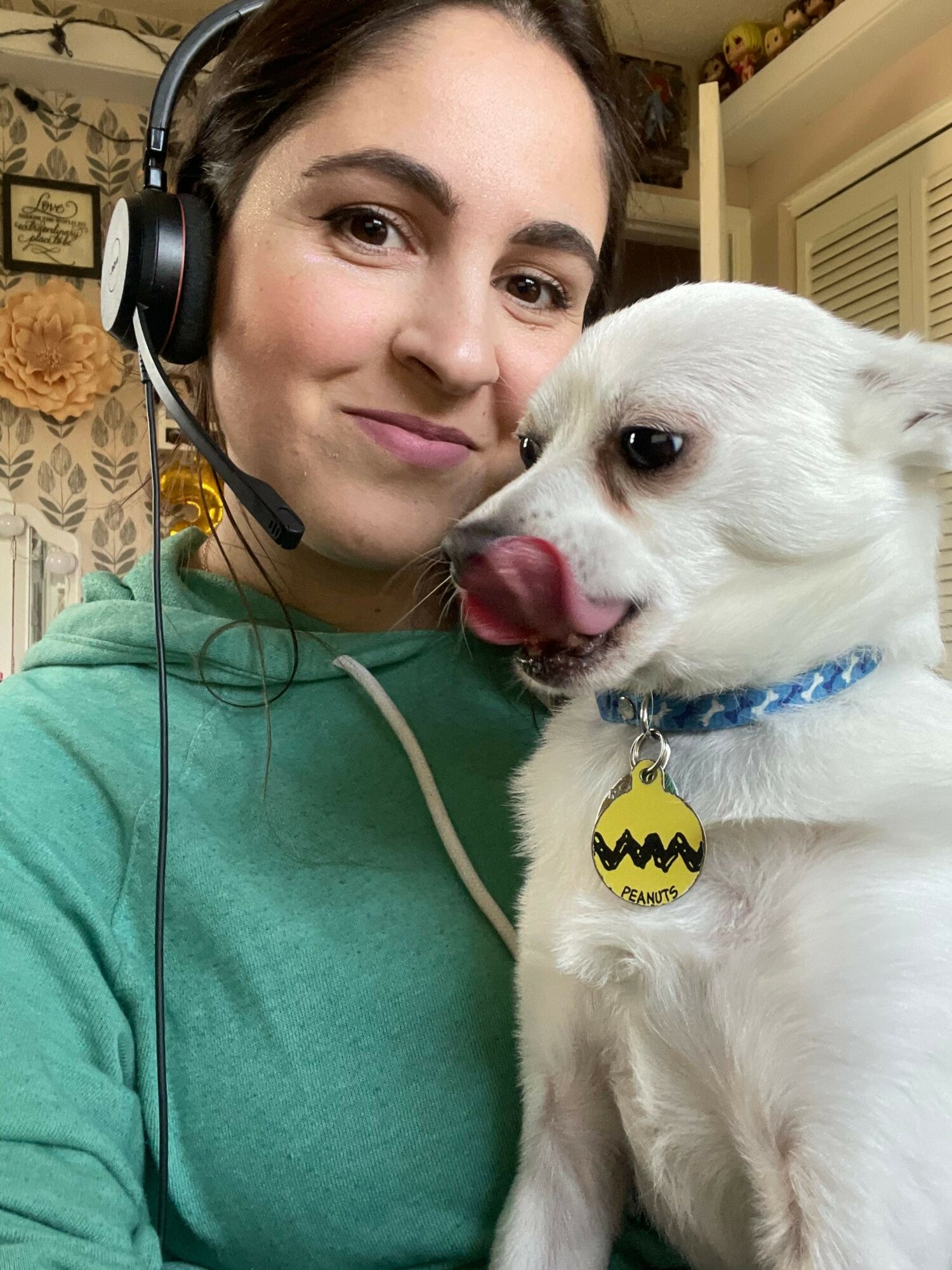 Person with headphones lying next to a white dog wearing a Batman tag, both looking at the camera.