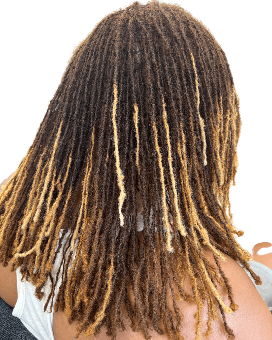 Back view of a person with shoulder-length dreadlocks, brown and blonde highlights, wearing a white top.